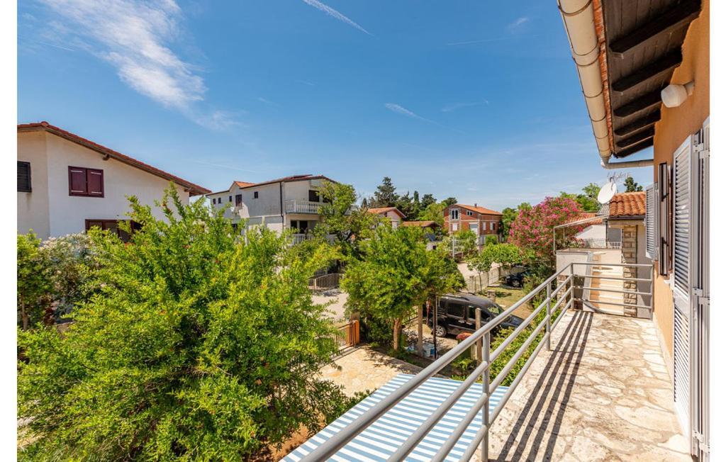 Neven Privlaka (Zadar)