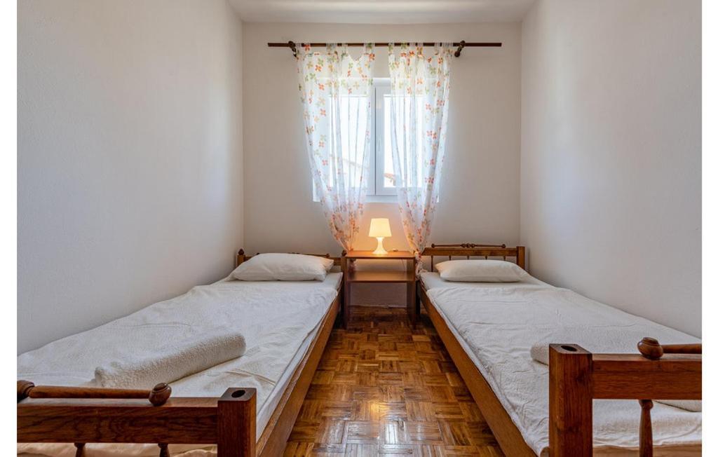 Neven Privlaka (Zadar)